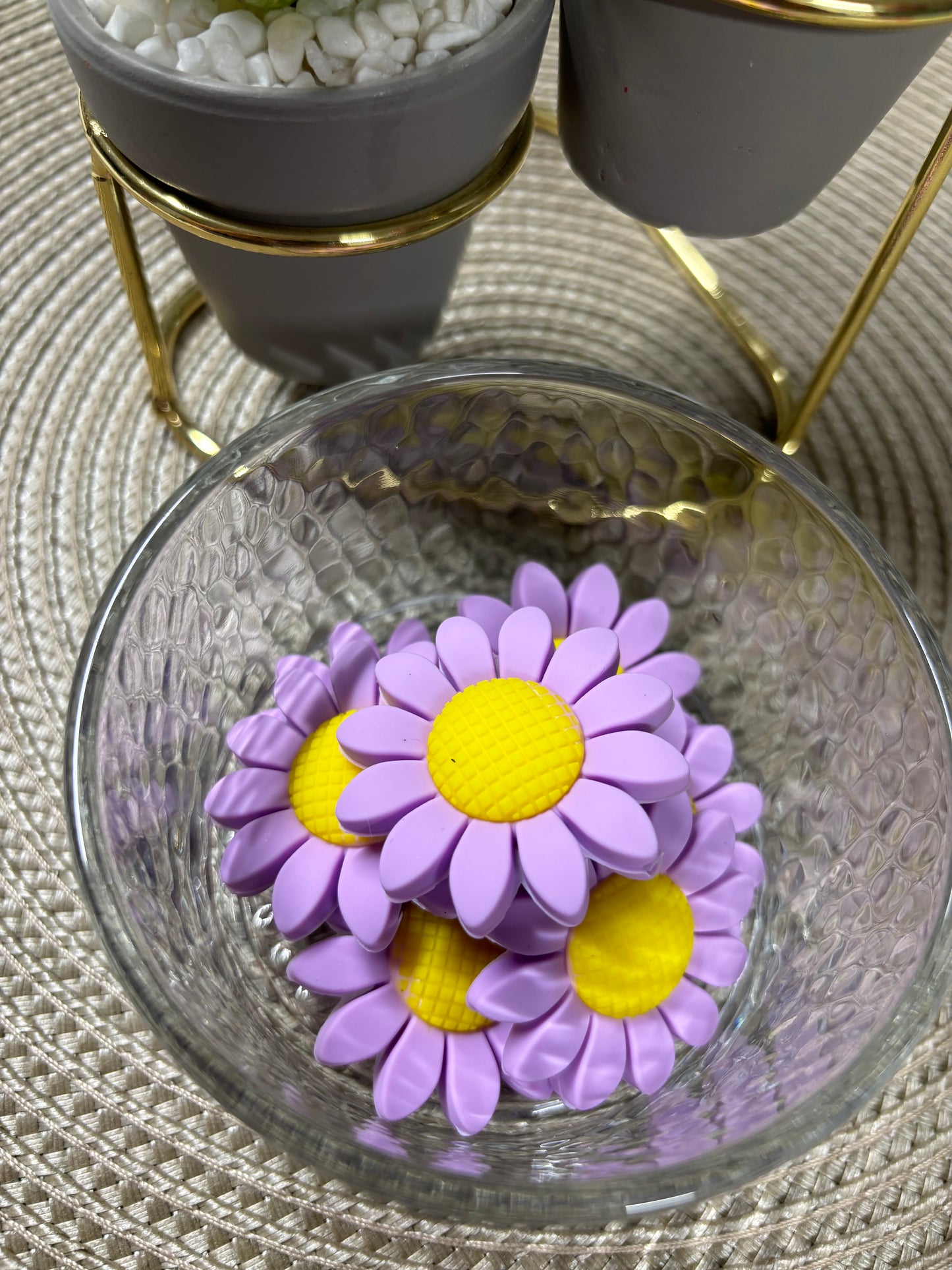 Purple Daisy (Focal)