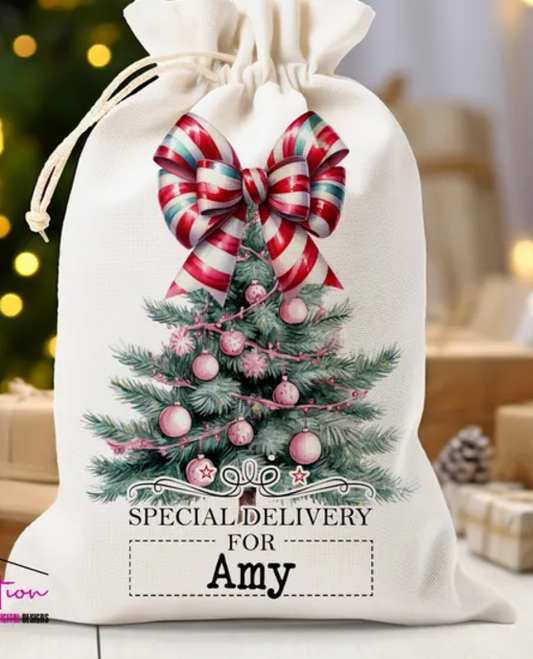 Santa Gift Bag (12in x 16in)